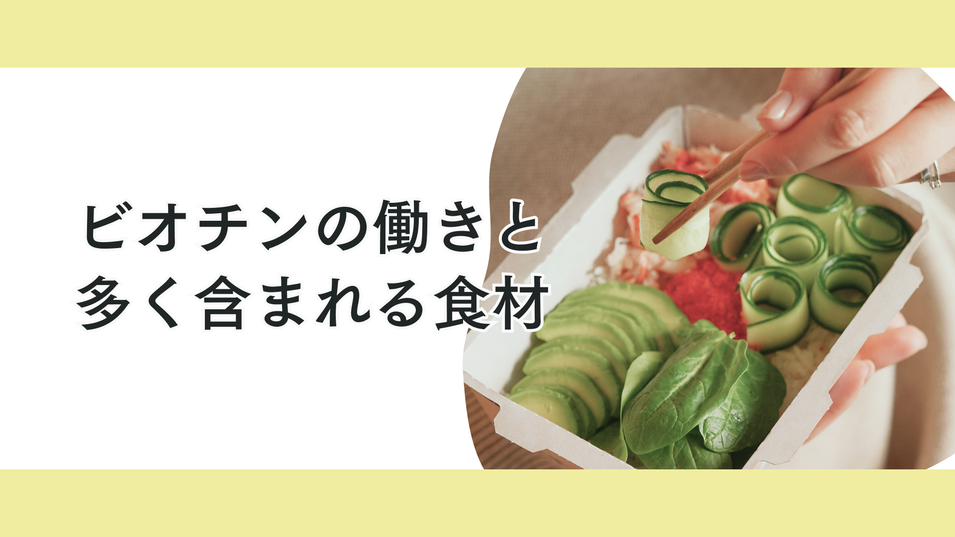 タイトル ジュニア期に絶対必要！エネルギーも集中力も爆上げ！ビオチン完全ガイド