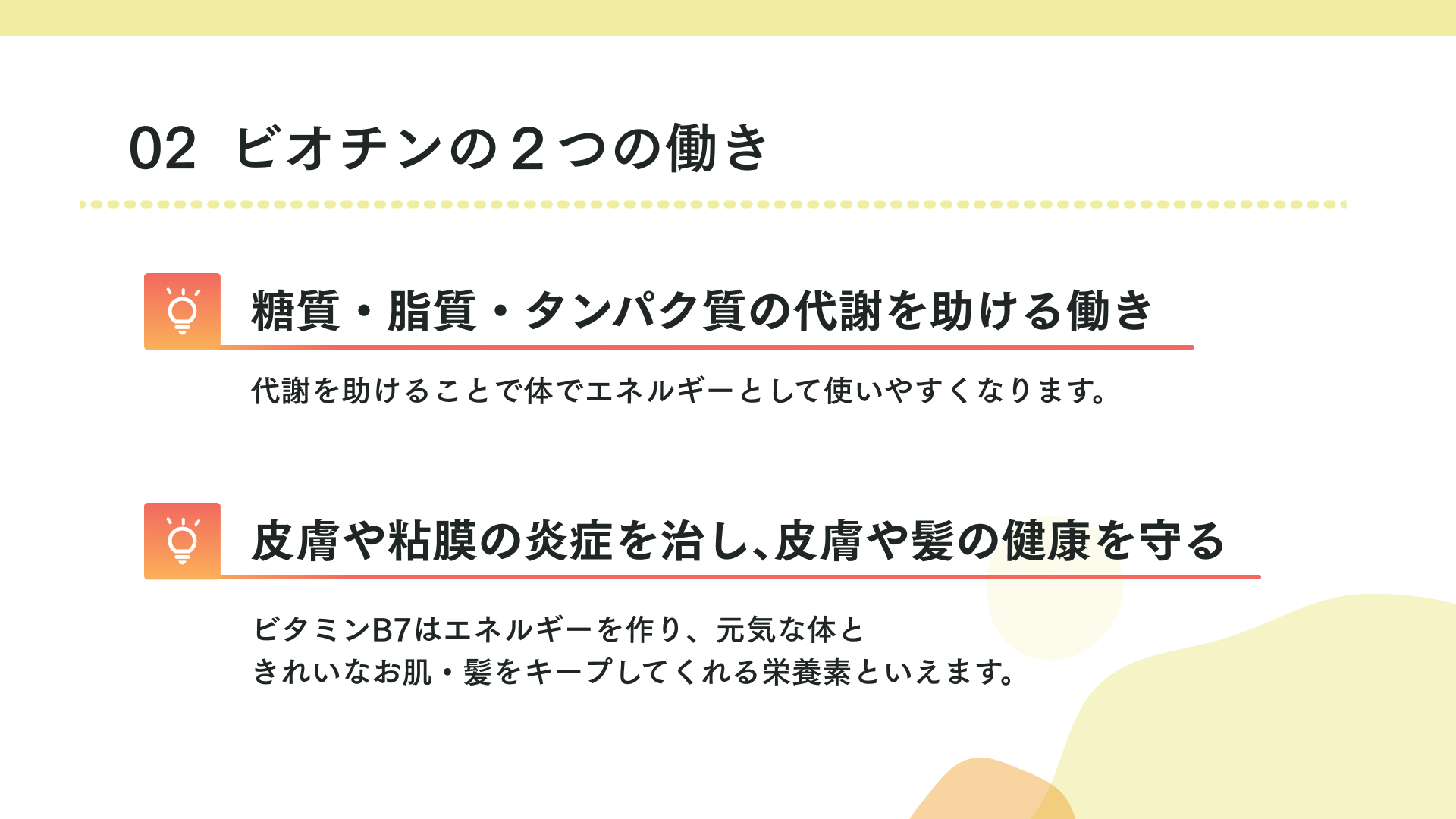 ビオチンの主な働きは2つ！