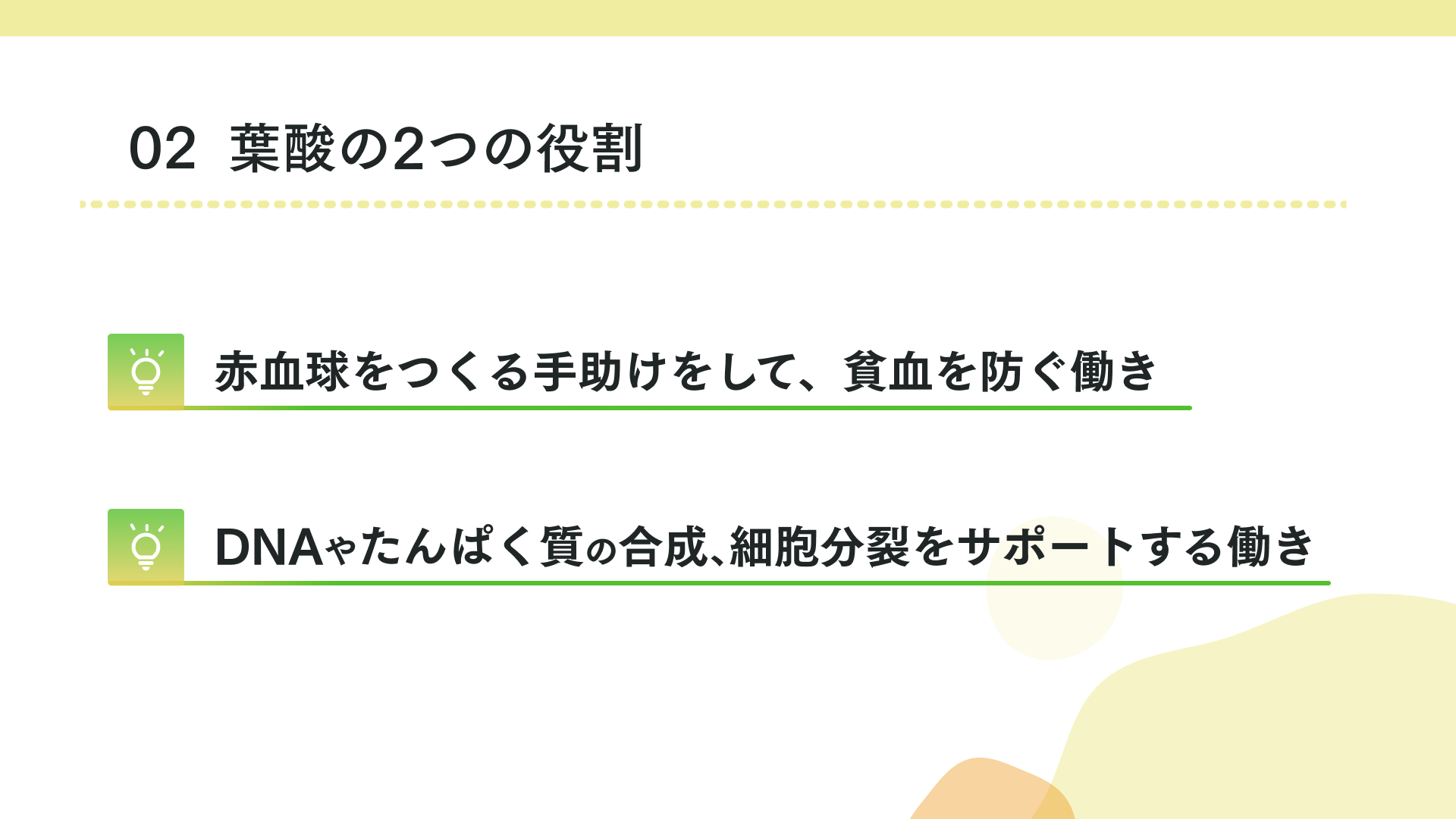 葉酸の役割