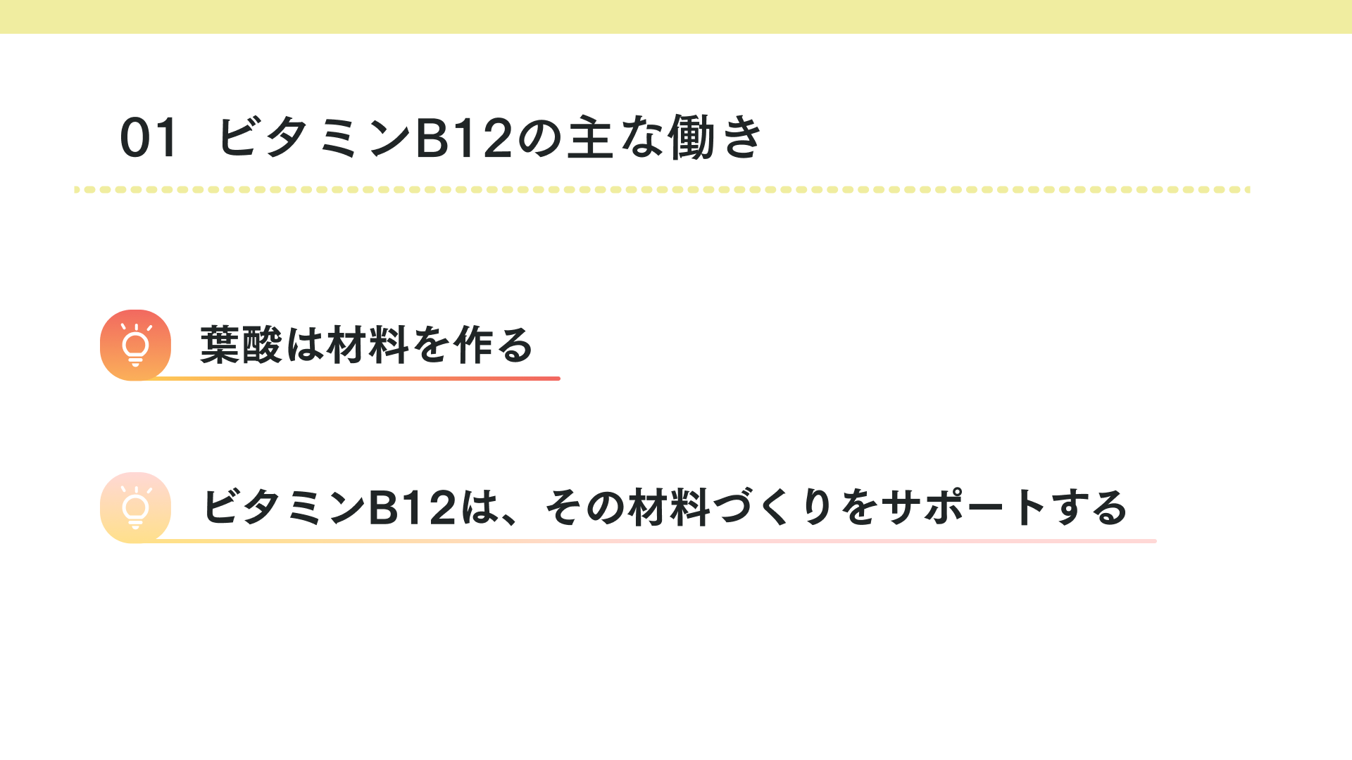 ビタミンB12の主な働き